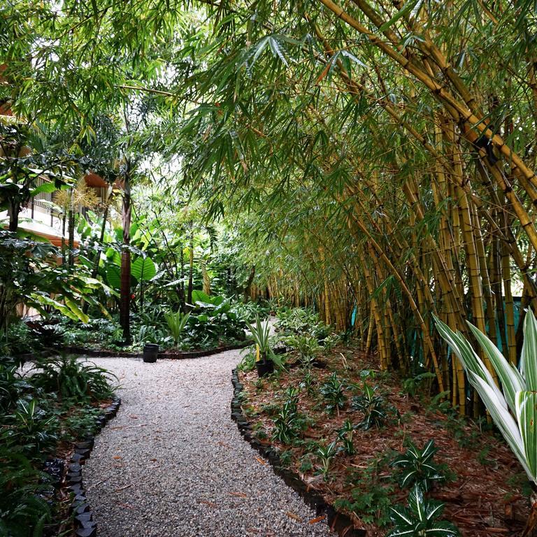 פרמריבו Jacana Amazon Wellness Resort מראה חיצוני תמונה