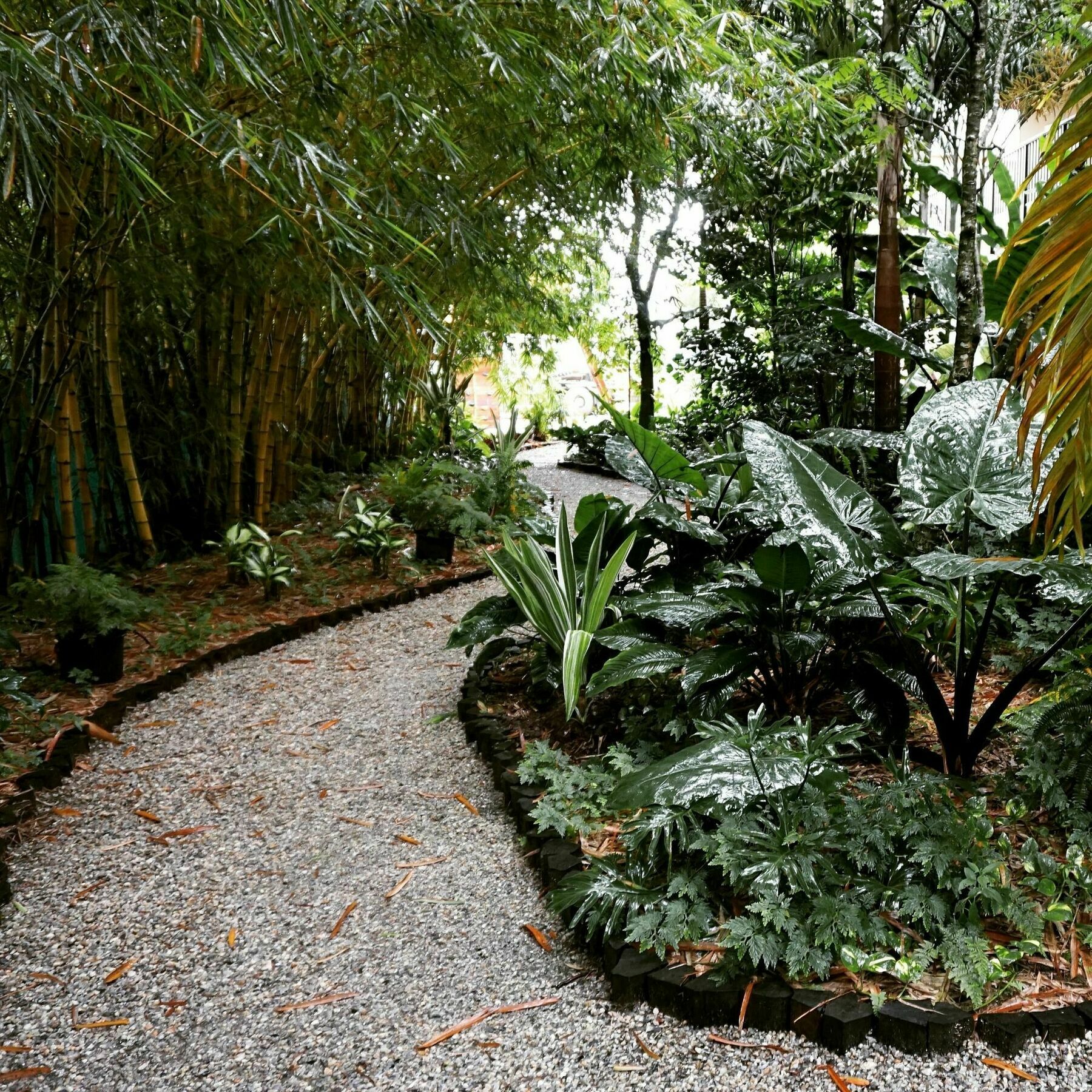 פרמריבו Jacana Amazon Wellness Resort מראה חיצוני תמונה